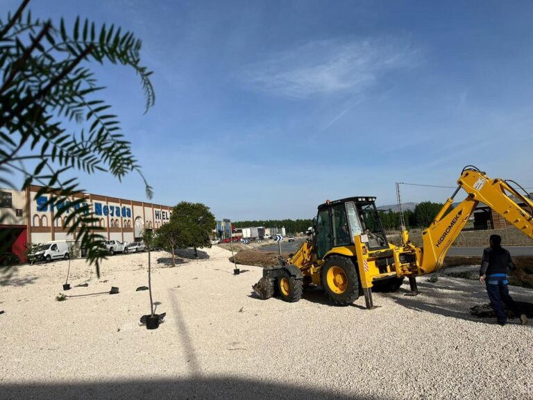 MEDIO AMBIENTE | EL AYUNTAMIENTO DE FUENTE VAQUEROS REALIZA UNA REPOBLACIÓN DE ÁRBOLES EN NUESTRO MUNICIPIO -Fuente Vaqueros