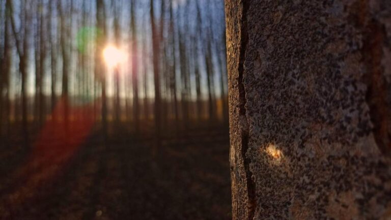 TURISMO DE FUENTE VAQUEROS-Fuente Vaqueros