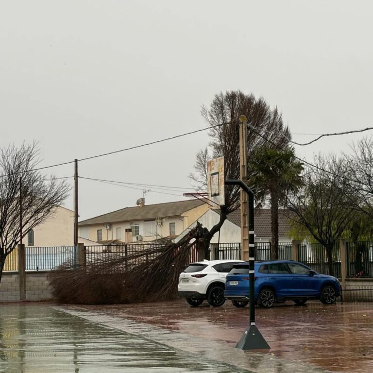 AVISO IMPORTANTE | TEMPORAL DE LLUVIA Y VIENTO-Fuente Vaqueros
