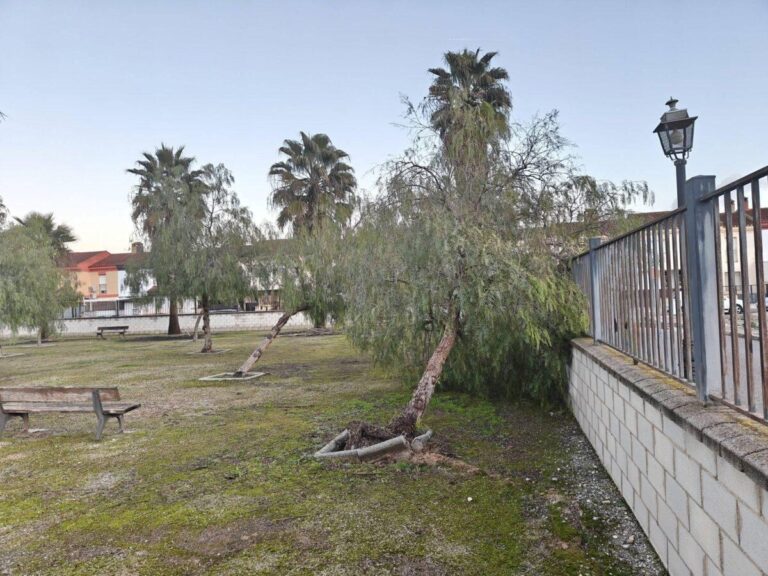 COMUNICADO 7 | CONSECUENCIAS DEL TEMPORAL EN FUENTE VAQUEROS-Fuente Vaqueros