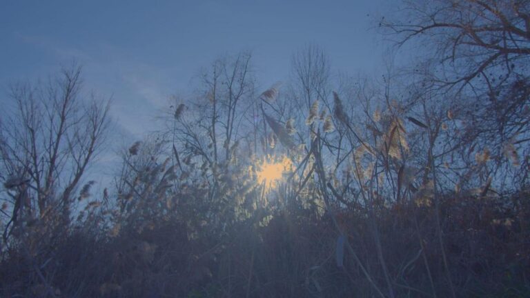TURISMO | DETALLE DEL ENTORNO EN NUESTRA RUTA DEL AGUA -Fuente Vaqueros