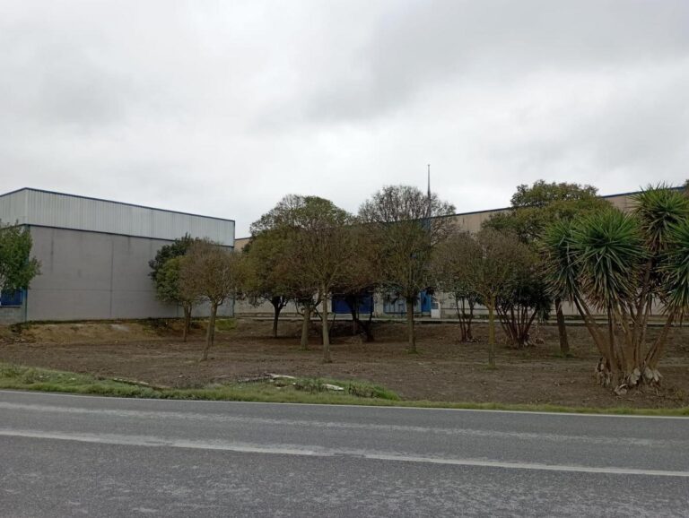 OBRAS | INICIO DEL ACONDICIONAMIENTO Y REFORESTACIÓN DE LAS ZONAS VERDES DEL POLÍGONO INDUSTRIAL "LA FUENTE"-Fuente Vaqueros
