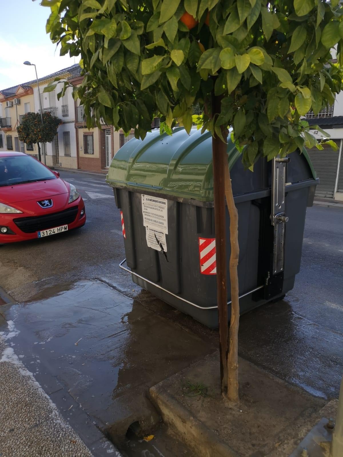MANTENIMIENTO | LIMPIEZA DE CONTENEDORES -Fuente Vaqueros