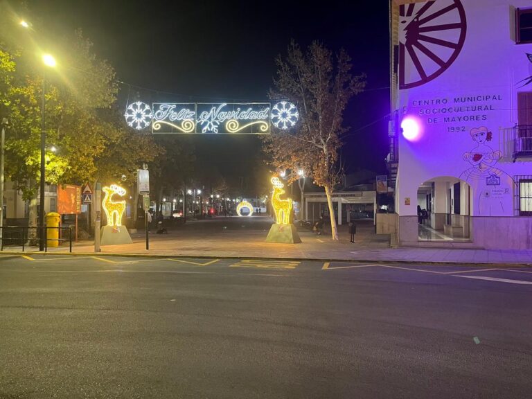 FIESTAS | INAUGURACIÓN DE LOS ADORNOS NAVIDEÑOS 2023-Fuente Vaqueros