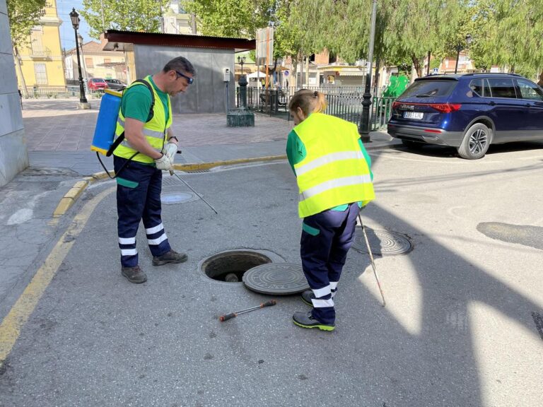 SERVICIOS | CONTROL DE PLAGAS EN EL MUNICIPIO DE FUENTE VAQUEROS-Fuente Vaqueros