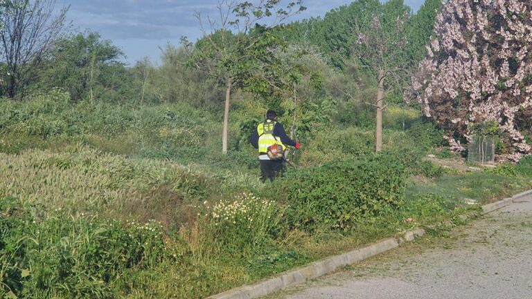 SERVICIOS | TRABAJOS DE EMBELLECIMIENTO Y MEJORA DEL ENTORNO URBANO-Fuente Vaqueros